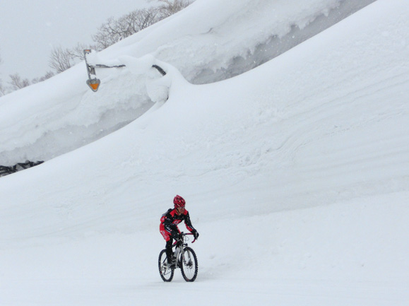 雪崩フェンス